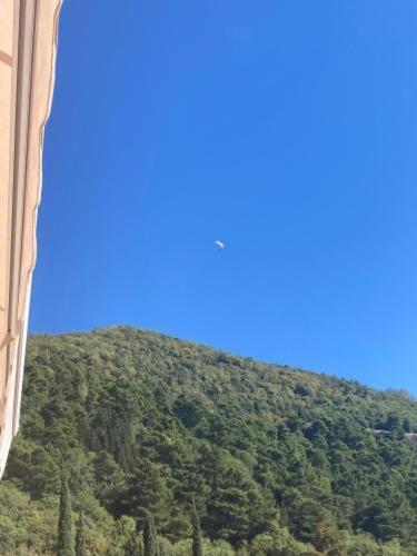 Studio Apartment For Rent In Budva Extérieur photo